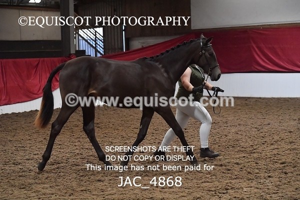 JAC_4868 - 4 River Dance, Take A Chance