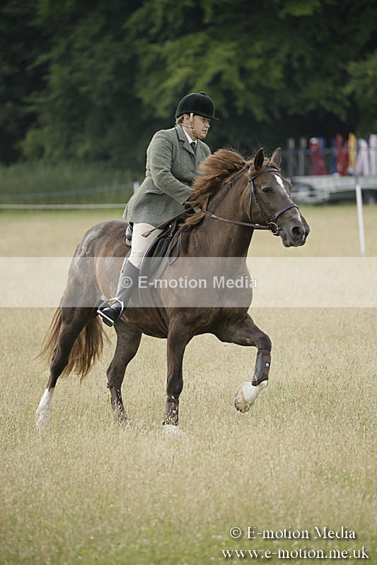 B230619-0178 - Bourne Valley Riding Club Summer Show 23/06/19