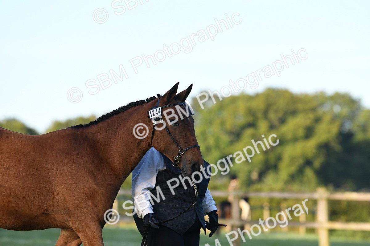 SBM_32443 - S15 - Condition & Turnout In Hand