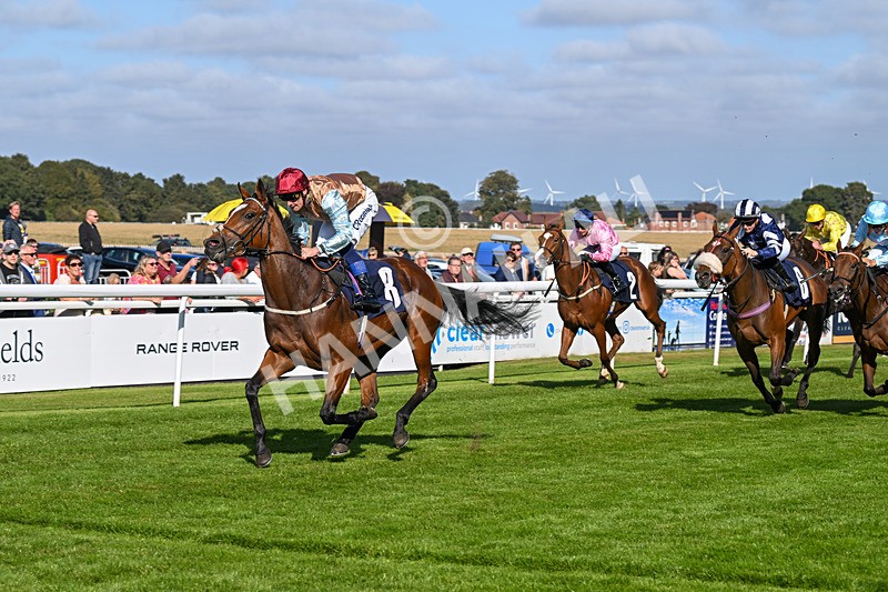 180924-Race 4-Surprised-4488 - Race 4