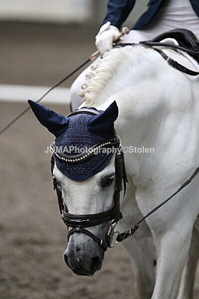 SIAL4601 - CAbin Dressage 5th july 2025