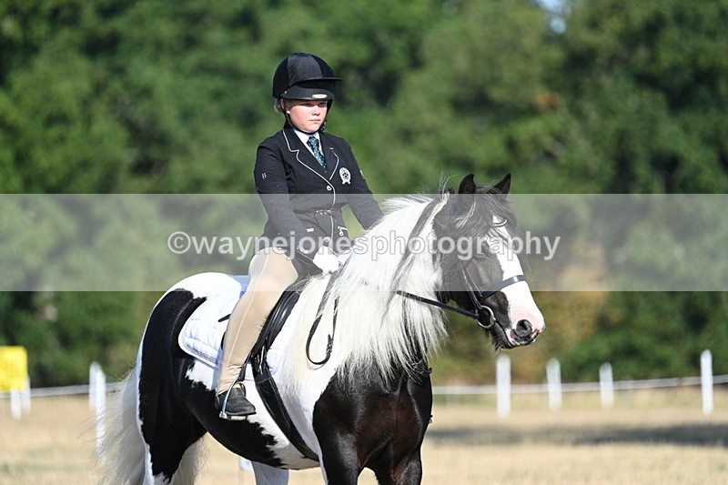 WJ7_8871 - Time 09:00 to 09:24