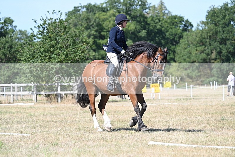 WJ7_0792 - Time 12:03 to 12:23