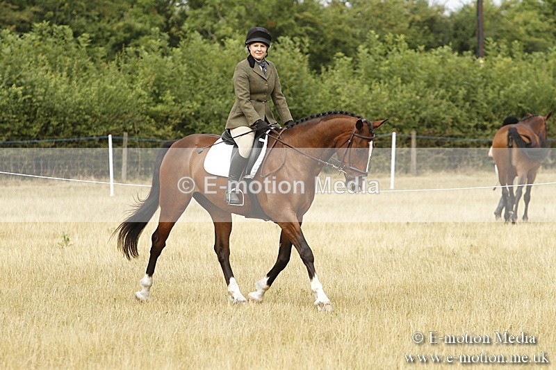 _BS_0638 - BVRC Show 2018 Ring 3