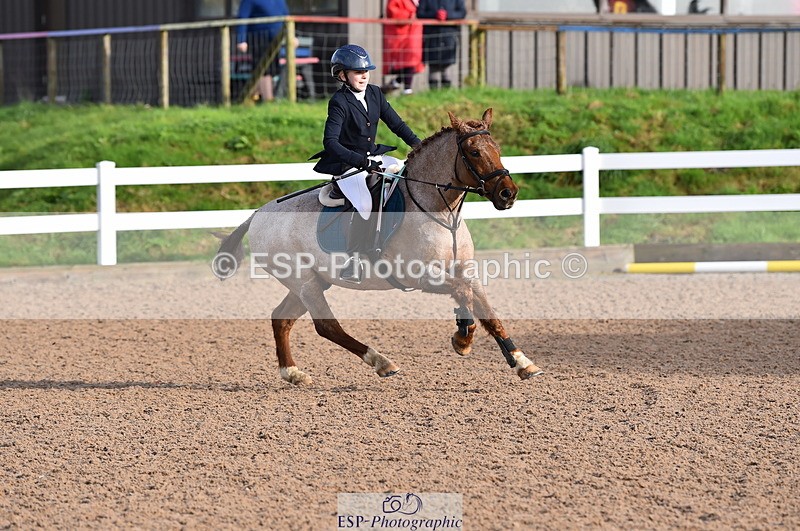 231028A-105554-00633 - Cls 2 British Novice & 80cm Open