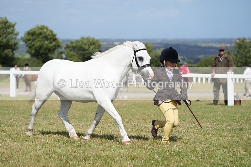 DSC07612 - Class 62: Child Handler