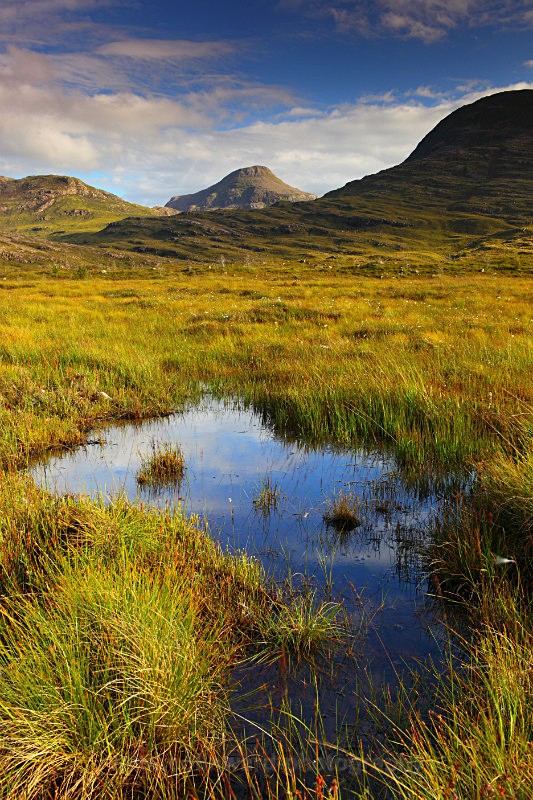 Glen Torridon     ref 8618 - Scotland