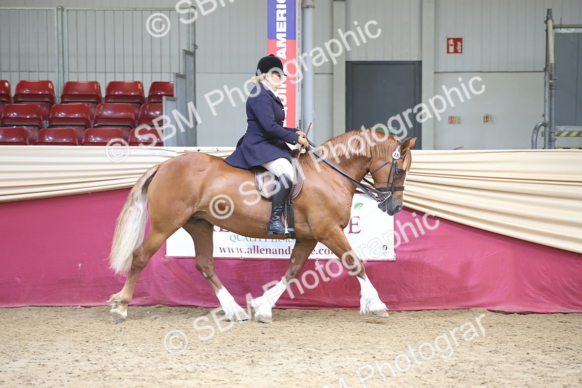 SBM_23712 - class 906 - Supreme Final - Ridden Pre Vet