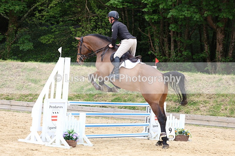 3E7A6350 - Class 4: Senior British Novice/90cm open