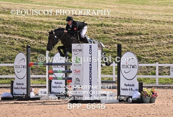 BPP_6646 - CLASS 13 FRI HOYS Talent Seeker Qualifier Inc 7 Year Old Horse Championship Qualifier