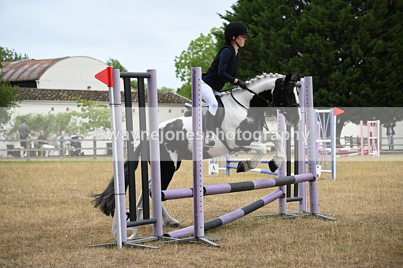 WJ6_0112 - Class 13 Novice Jumping 60cm