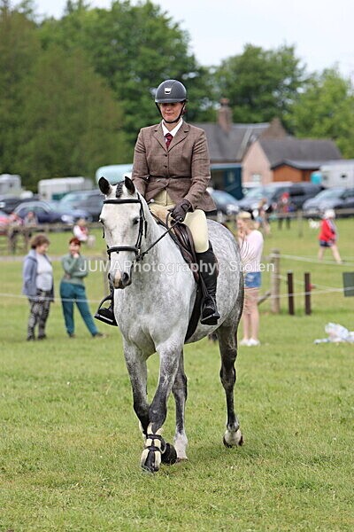 IMG_2739 - Working Hunter
