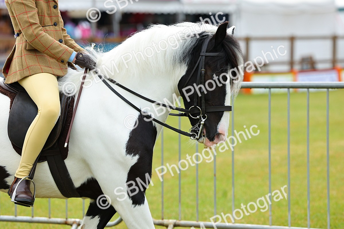 SBM_01036 - Class 1-4 - BSPA Ridden