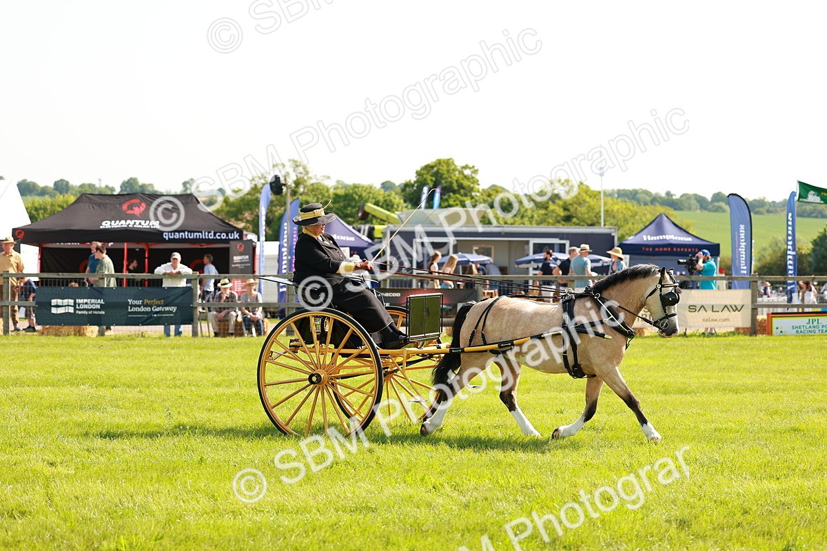 SBM_02579 - Class 2-4 - HOYS Private Driving