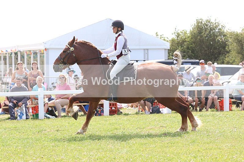 JPP_3515 - Class 15: Heavy Horse Ridden