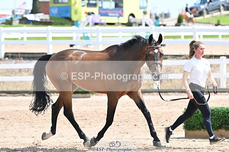 240717A-150056-02443 - Trot Up 3pm to 4pm