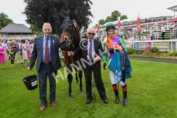 170623-Race 4-Quinault-0414 - Race 4 3.40pm Oakmere Homes Supporting Macmillan Sprint Handicap