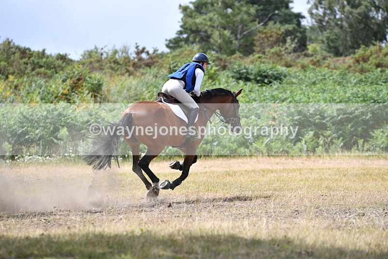 WJ5_1971 - XC Time 12:05 to 12:55