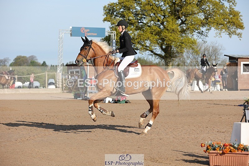 250427-083006-14492 - Cls 28 Young Horse 5yr old