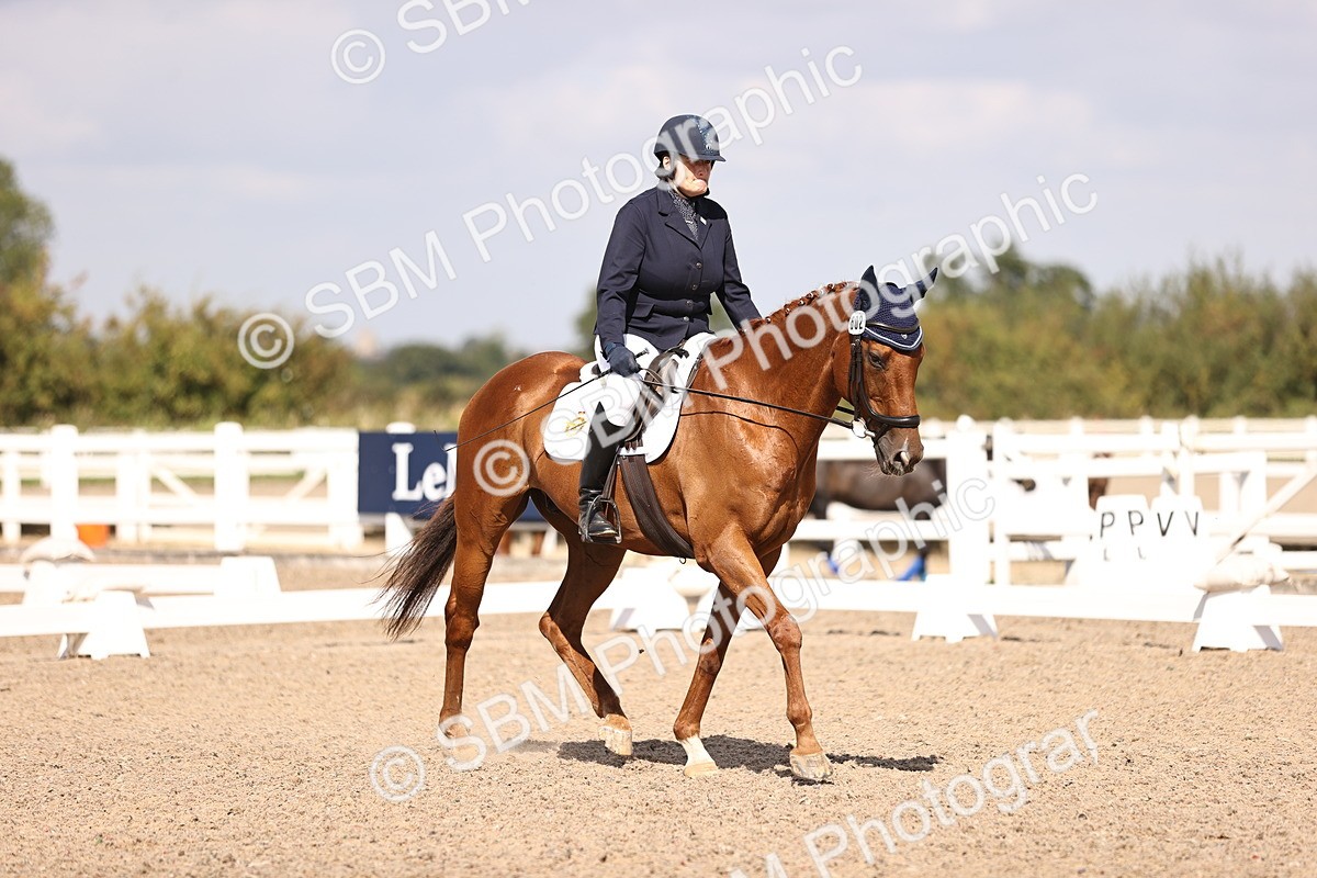 SBM_03656 - CLass 35 Intro 3