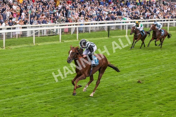 230923-Race 2-Palamon-5252 - Race 2 2.35pm jigsawsportsbranding.co.uk Handicap