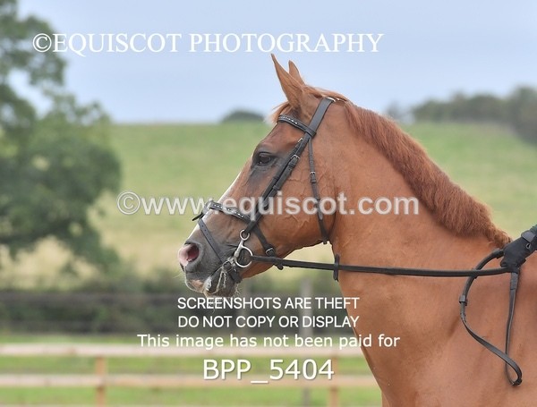 BPP_5404 - MY QUEST + INTRO TEST 1 & 2