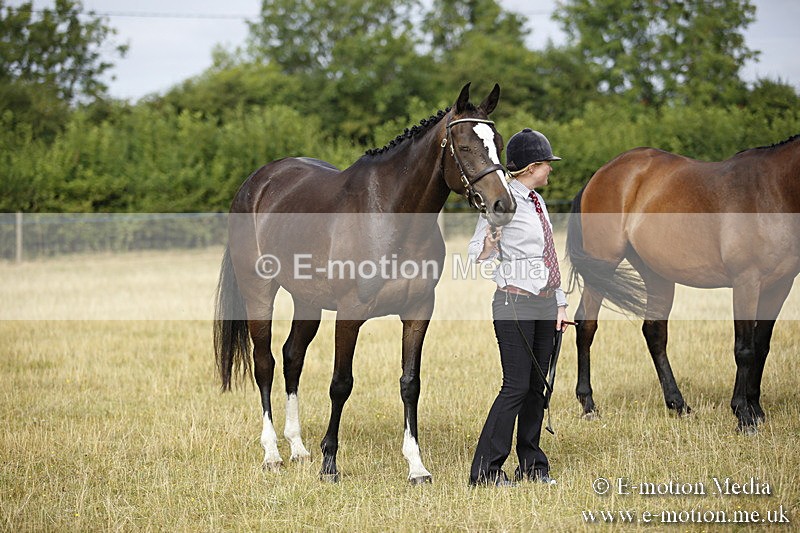 _C7A9144 - BVRC Sow 2018 Ring 2