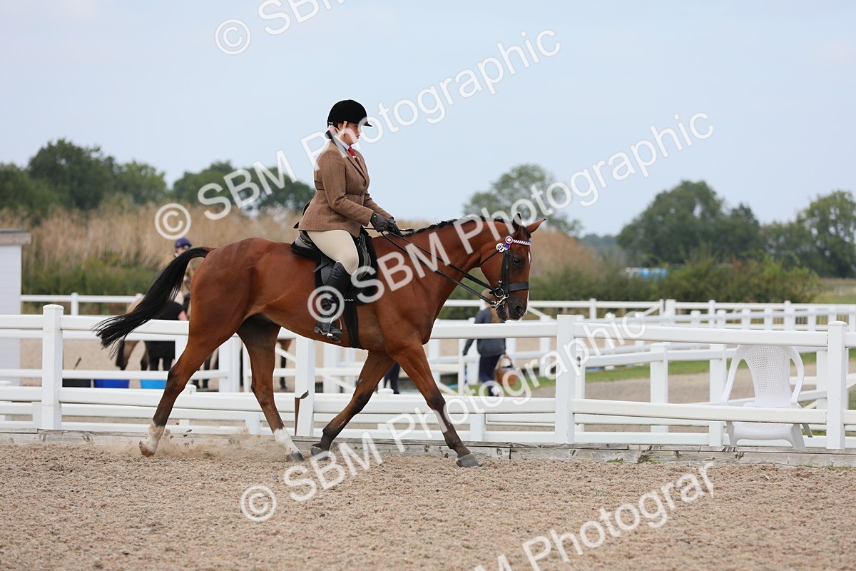 SBM_16854 - Class 314 Family Horse/Pony