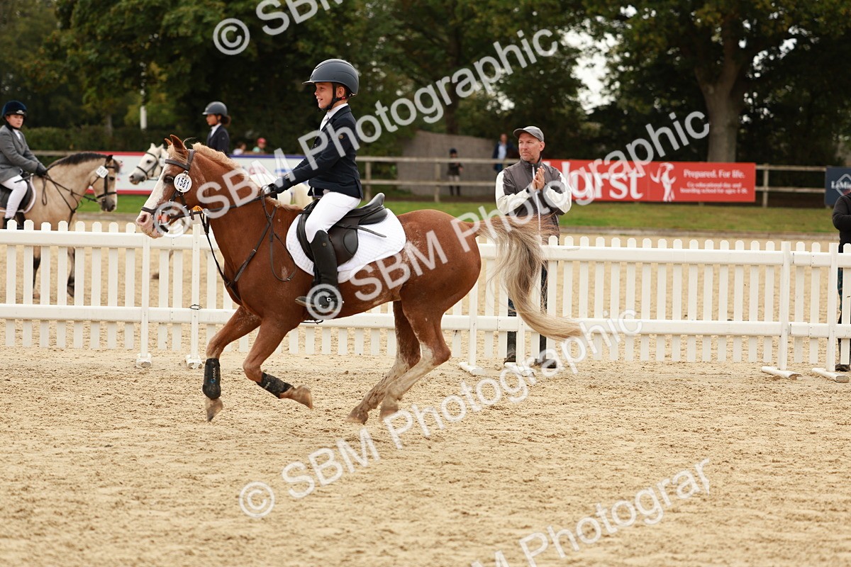 SBM_58124 - J11 - Junior Pony 50cm Championship