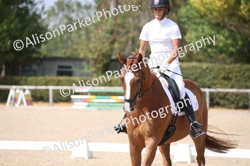 20260815-0989 - Class 5 - Novice 1
