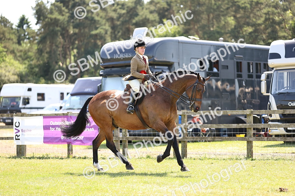 SBM_17795 - Class 81-83 - TSR Ridden Amateur of the Year - Horses
