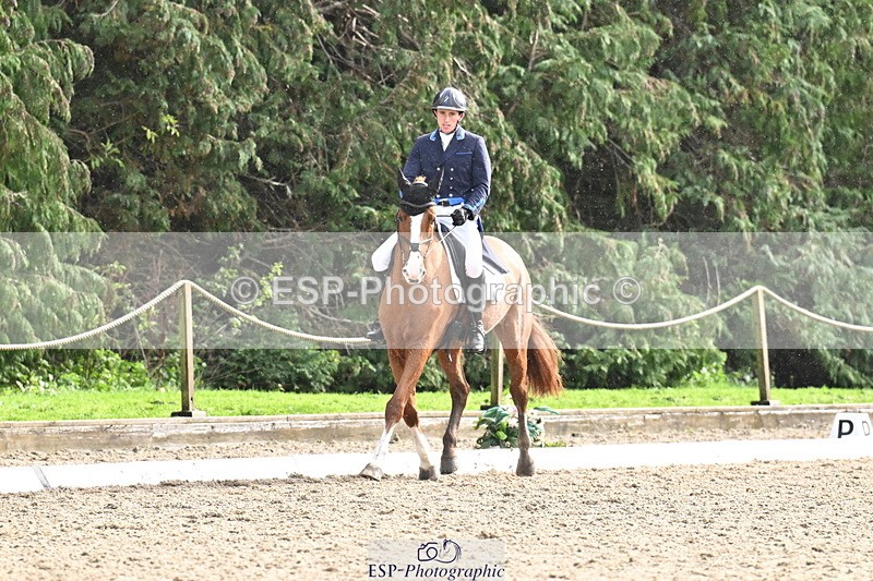 251023A-141326-05183 - C-245-Freddie.Carden