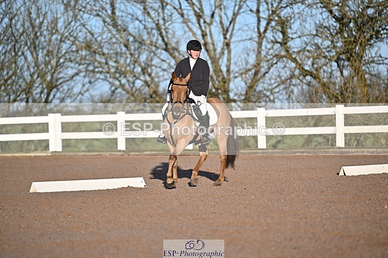 250125-090405-00013 - Dressage - CT Class 1 & 2 Intro 1