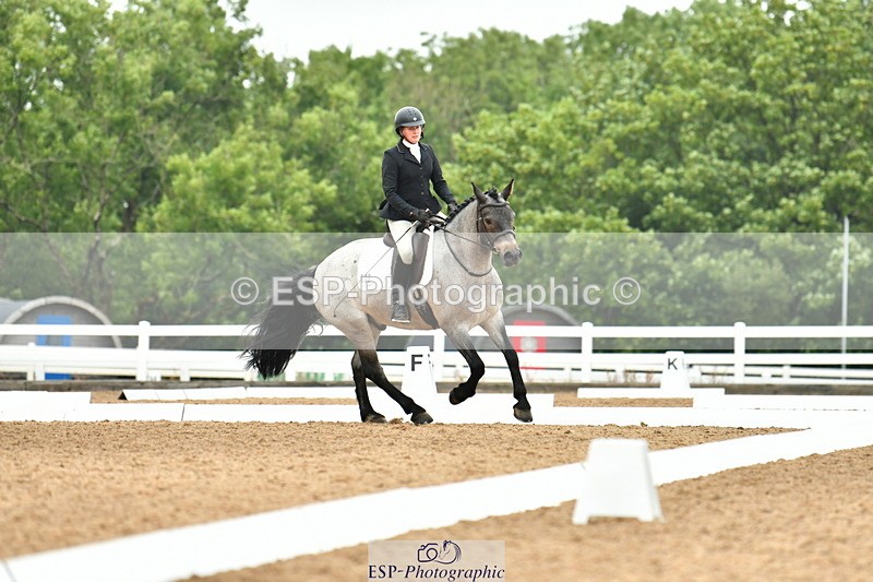 230708A-110011-02463 - Prelim 13