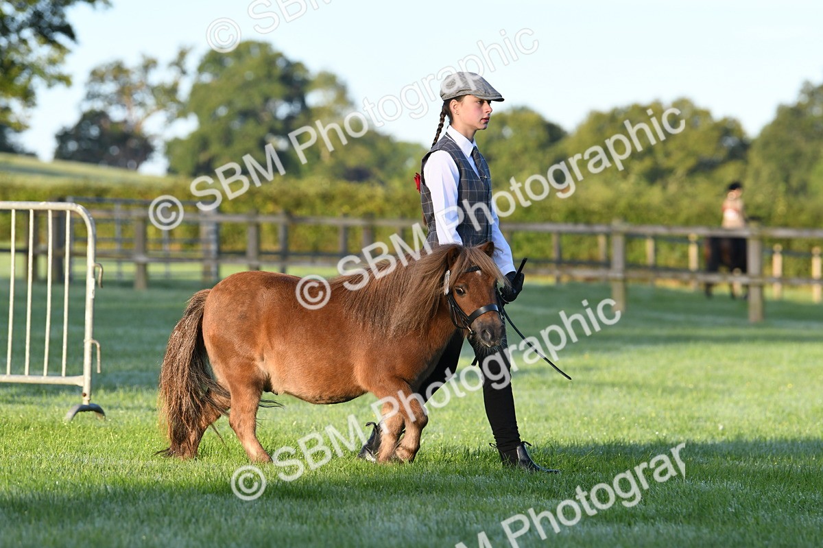 SBM_32441 - S15 - Condition & Turnout In Hand