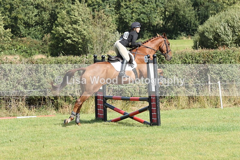 JPP_8654 - Class 2: Trekenning: 80cm Showjumping