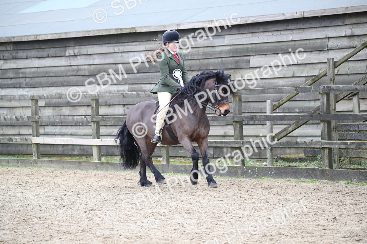 SBM_006482 - Class 10-13 - RIHS Small Large Breeds