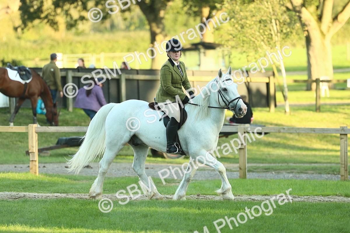 SBM_55612 - S14 - Riding Club Horse