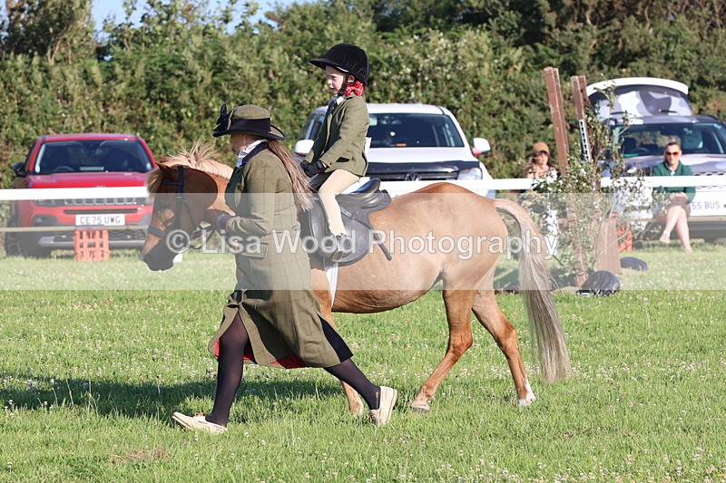 JPP_0765 - Class 16: Cornish Combination Leading Rein