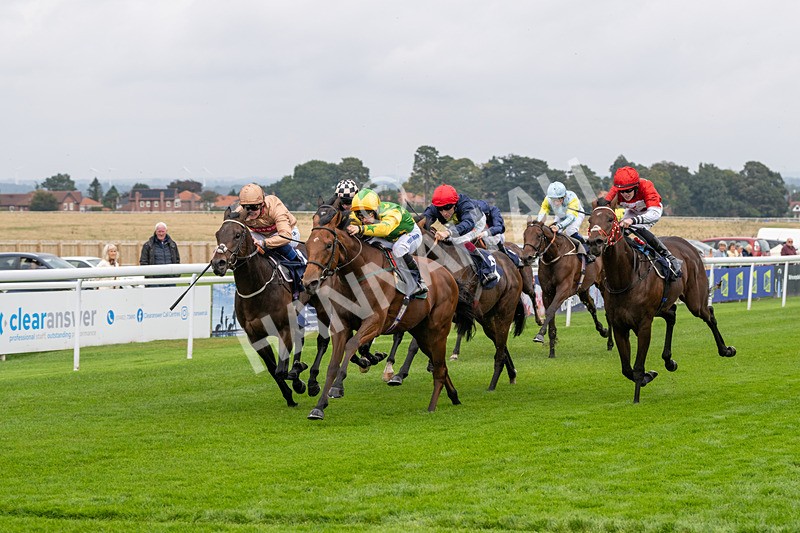 240924-Race 2-The Trickster-5930 - Race 2