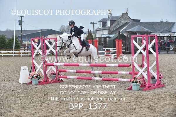 BPP_1377 - CLASS 5 Pony BritiNovice / 0.80m Open