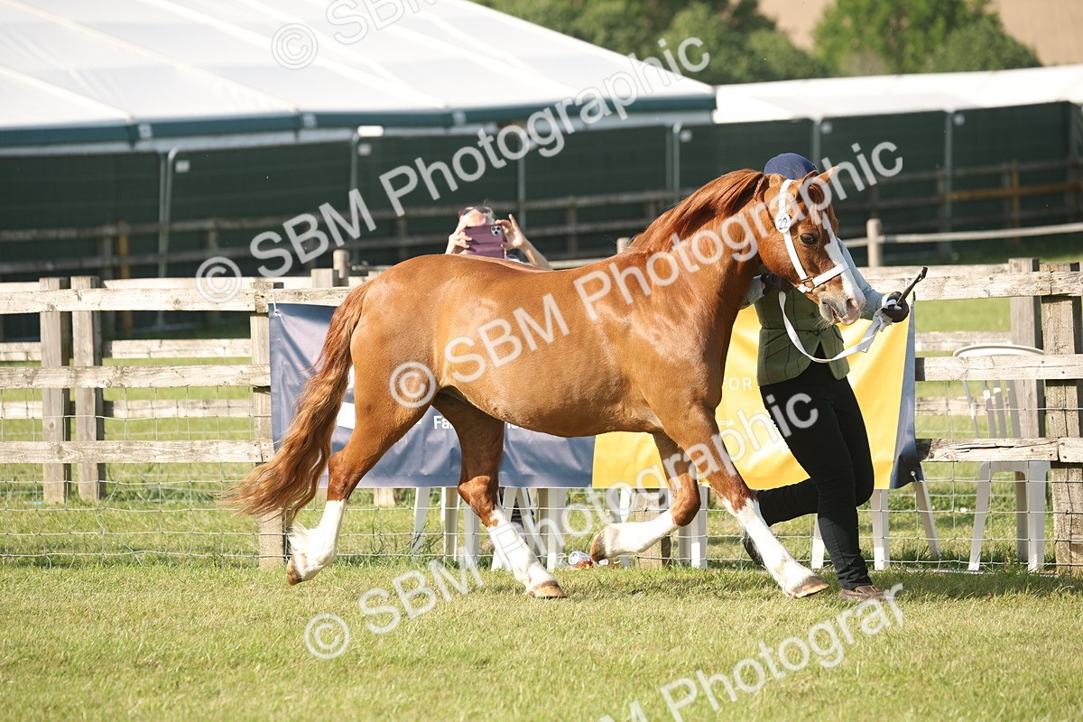 SBM_10441 - Class 33-38 - SSADL RIHS Qualifiers