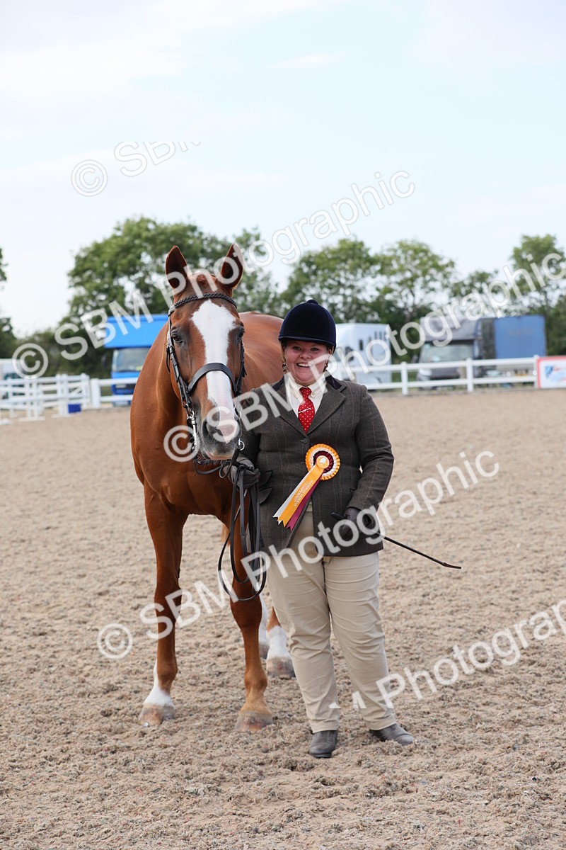 SBM_15862 - Class 312 IH Competition Horse/Pony