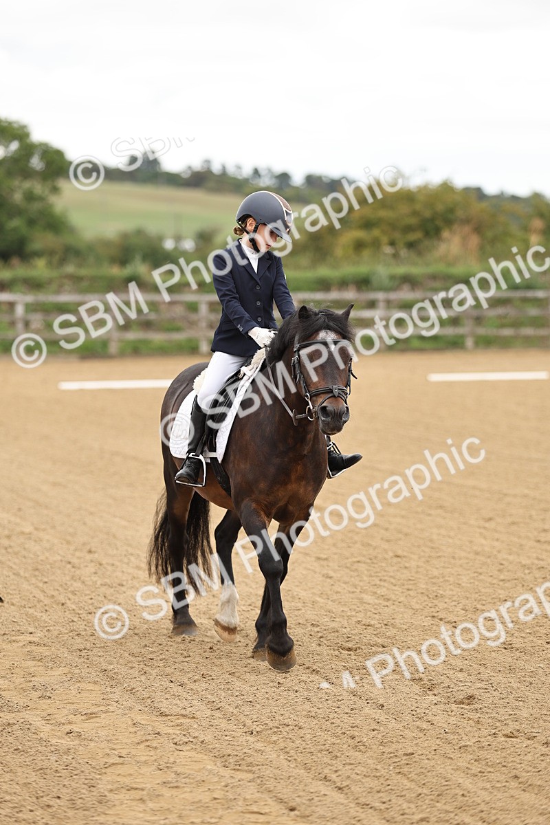 SBM_002068 - Intro 1-2