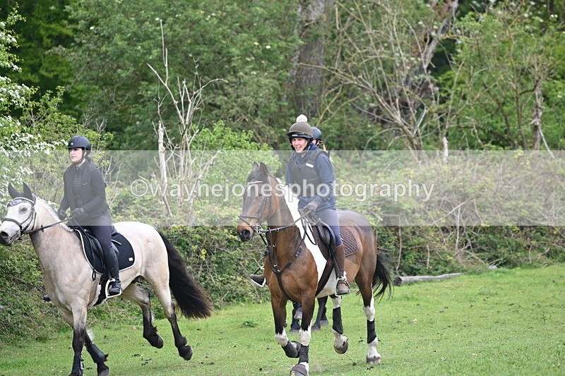 WJ6_2819 - A Camera