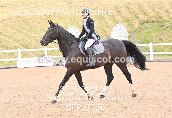 BPP_0356 - CLASS 26 SUN 5 Year Old Non Qualifier