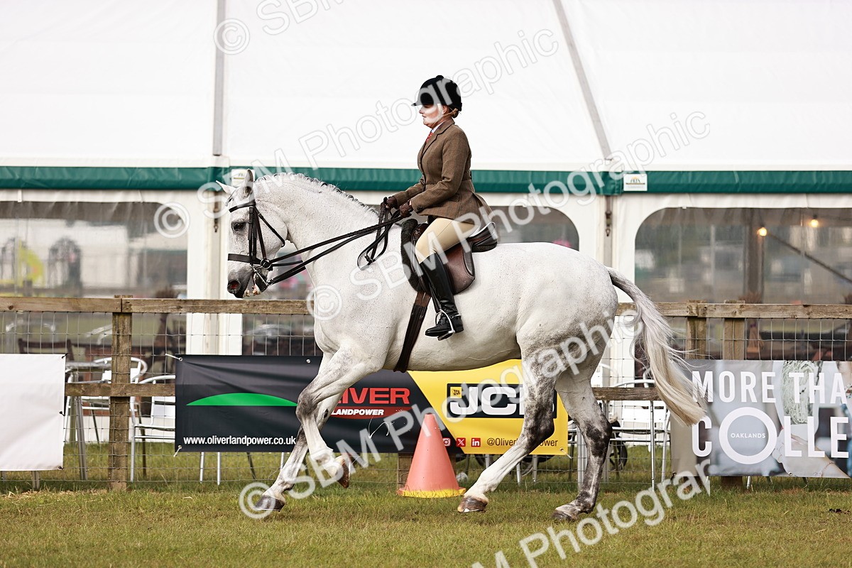 SBM_10867 - Class 81-84 - RIHS Ridden hunters Inc Ladies Hunter
