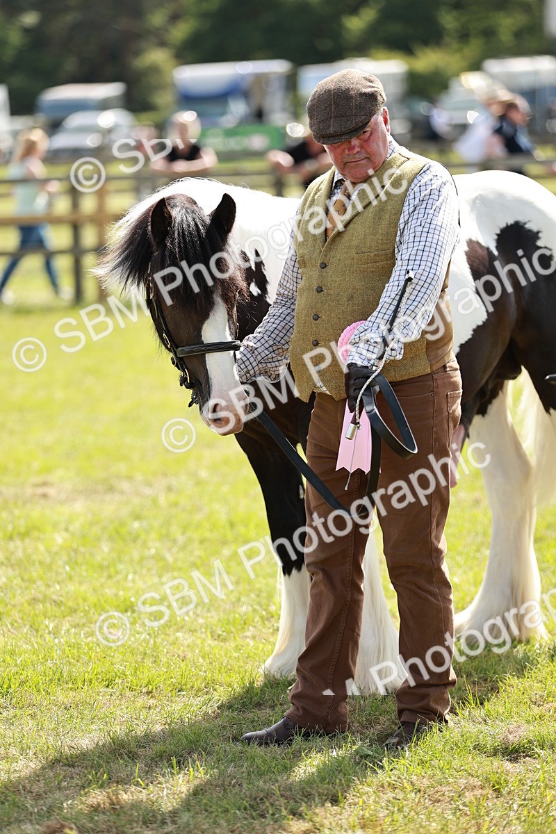 SBM_08726 - Class 63-65 - Traditional Gypsy Cobs In Hand & Ridden