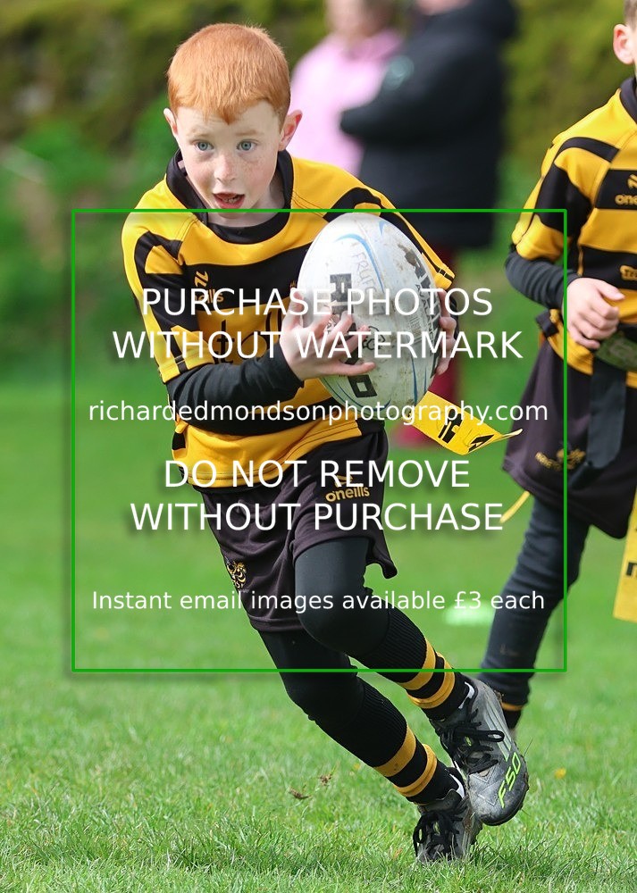 533A4990 - Kendal Rugby Under 7's (12/4/26)