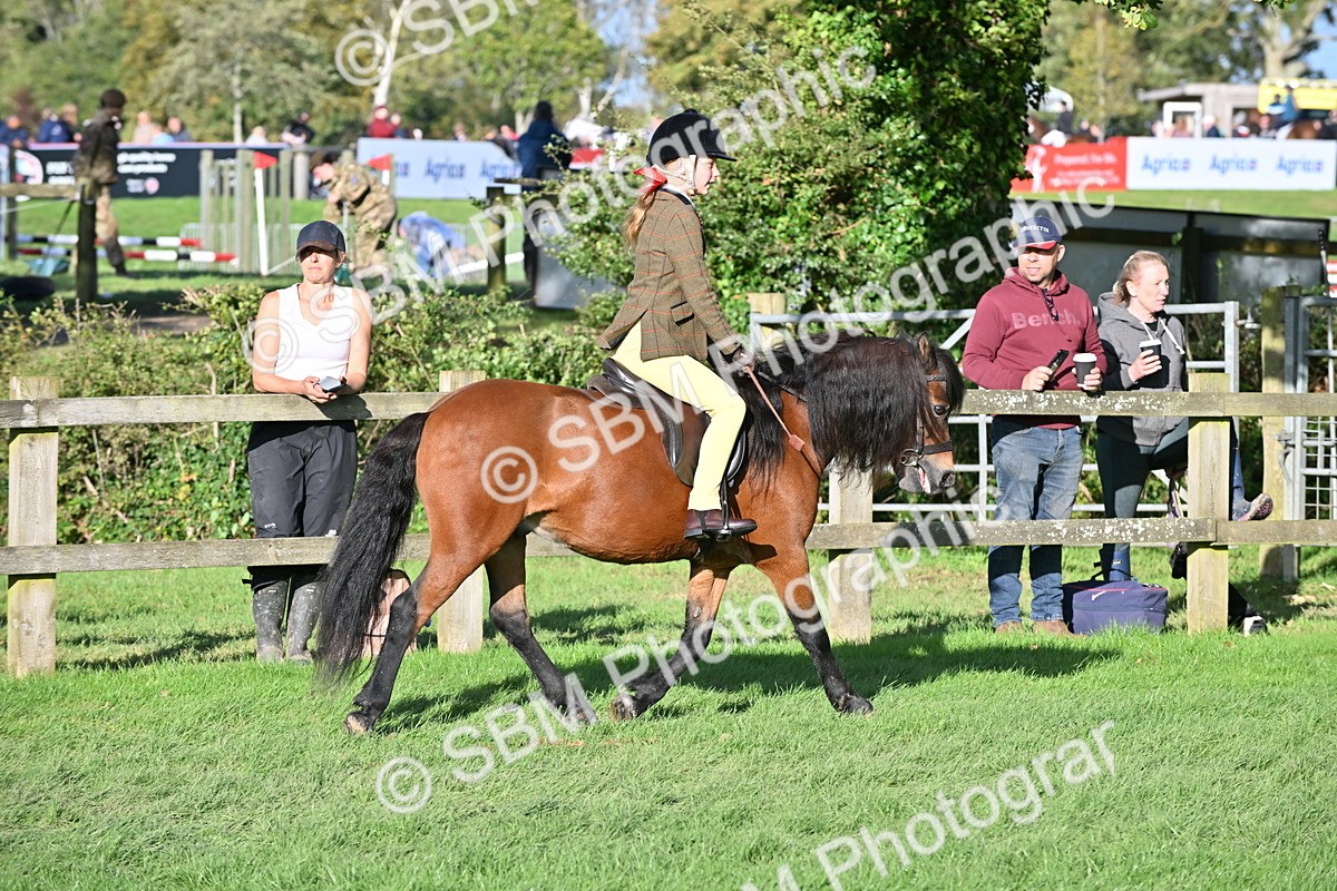 SBM_52997 - S23 - First Ridden Mountain & Moorland Pony